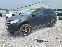 2011 Ford Edge SEL for sale in Lawrenceburg, KY