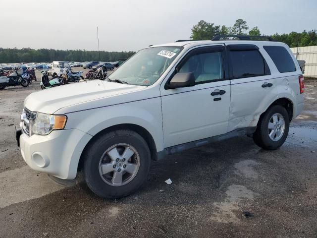 2012 Ford Escape XLT