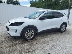 Ford salvage cars for sale: 2022 Ford Escape SE