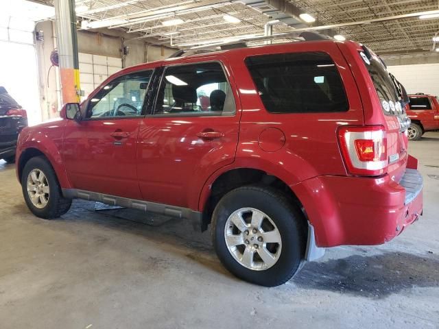 2010 Ford Escape Limited