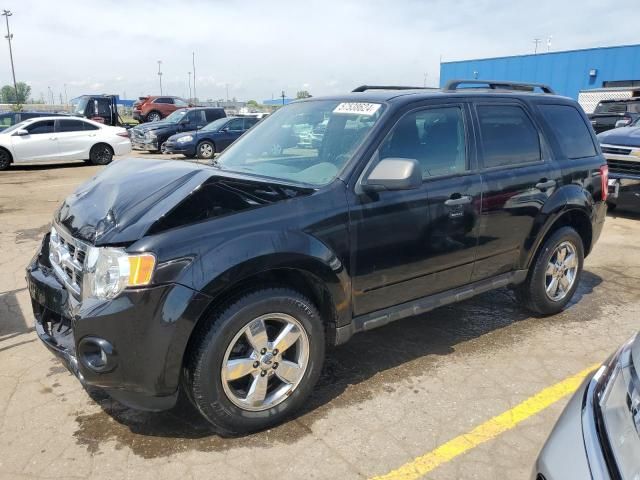 2010 Ford Escape XLT