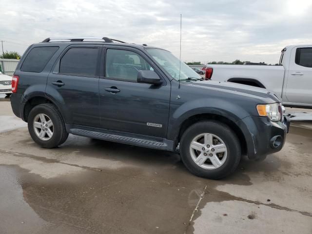 2008 Ford Escape HEV