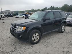 2012 Ford Escape XLT en venta en Memphis, TN