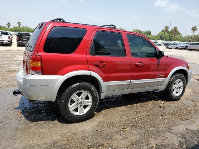 2006 Ford Escape HEV