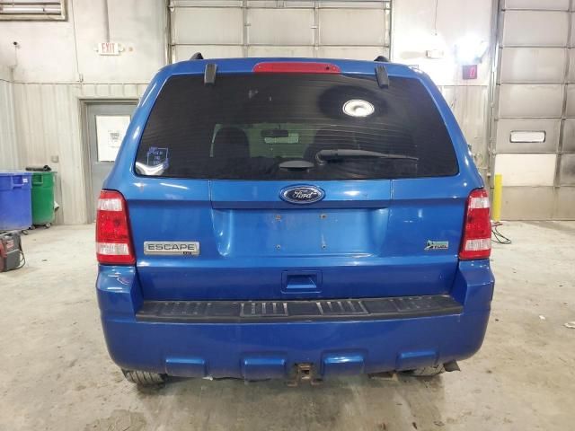 2011 Ford Escape XLT