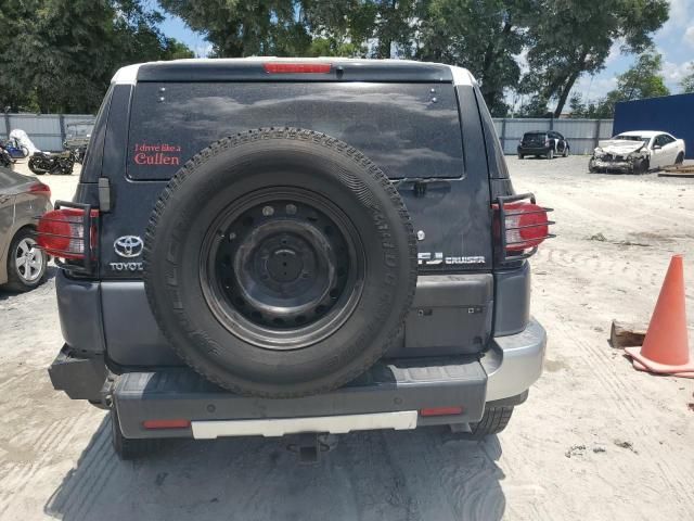 2007 Toyota FJ Cruiser