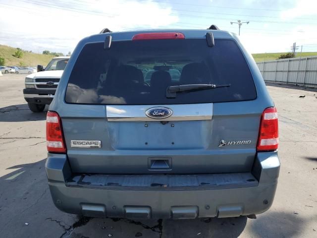 2010 Ford Escape Hybrid