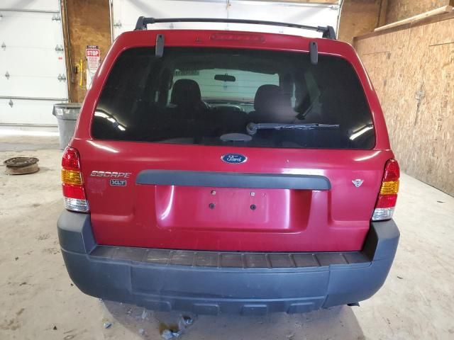 2007 Ford Escape XLT