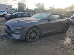 2022 Ford Mustang for sale in Opa Locka, FL