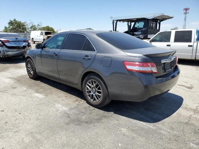 2010 Toyota Camry Base