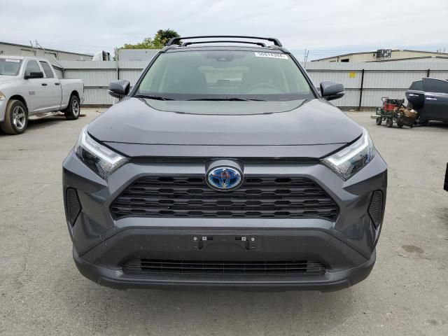 2024 Toyota Rav4 XLE