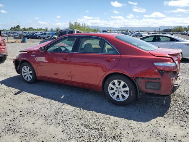 2007 Toyota Camry Hybrid