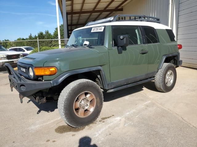 2010 Toyota FJ Cruiser