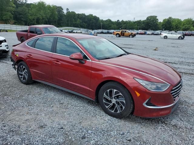 2023 Hyundai Sonata Hybrid