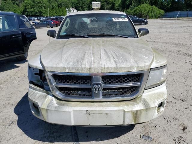 2010 Dodge Dakota ST