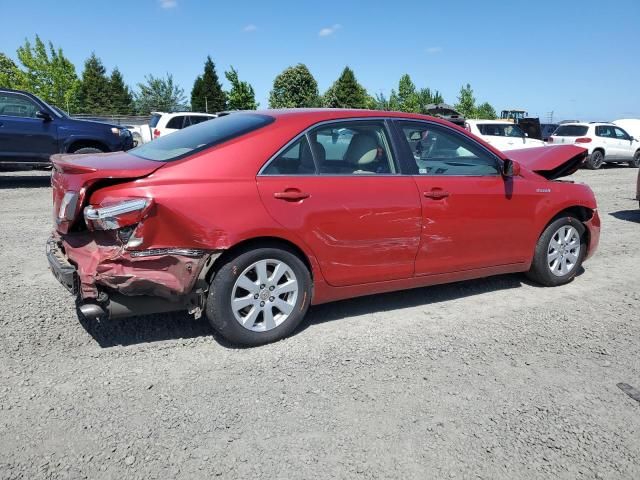 2007 Toyota Camry Hybrid