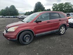 Honda cr-v ex salvage cars for sale: 2010 Honda CR-V EX