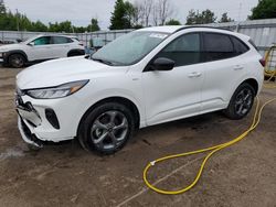 Ford Escape st salvage cars for sale: 2023 Ford Escape ST Line