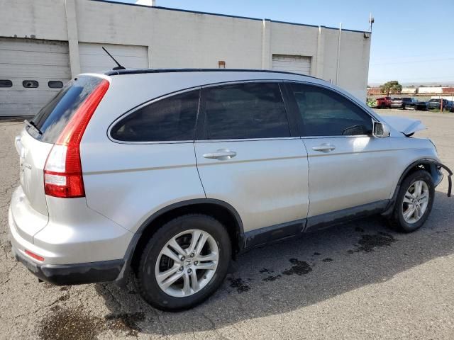 2010 Honda CR-V EXL