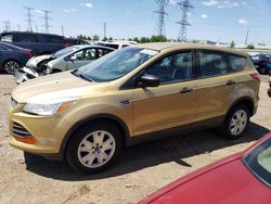 Vehiculos salvage en venta de Copart Elgin, IL: 2015 Ford Escape S
