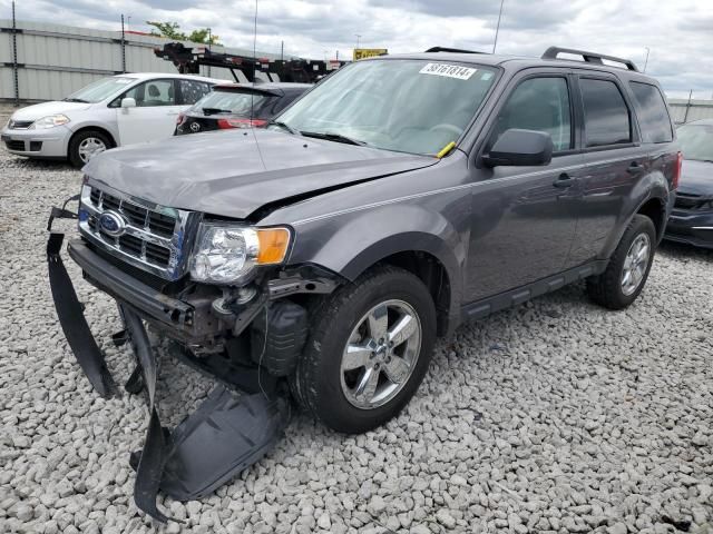 2011 Ford Escape XLT