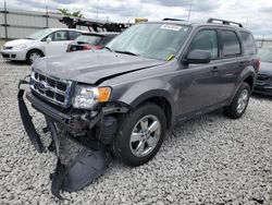2011 Ford Escape XLT en venta en Cahokia Heights, IL