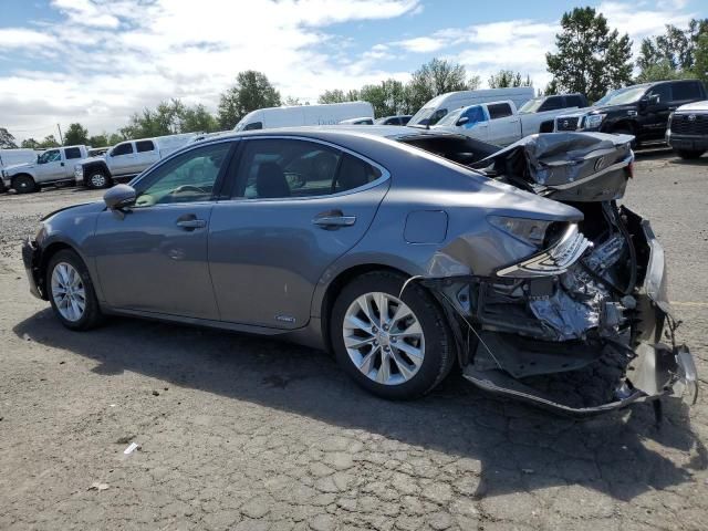 2013 Lexus ES 300H