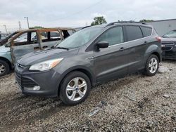 2015 Ford Escape SE en venta en Franklin, WI