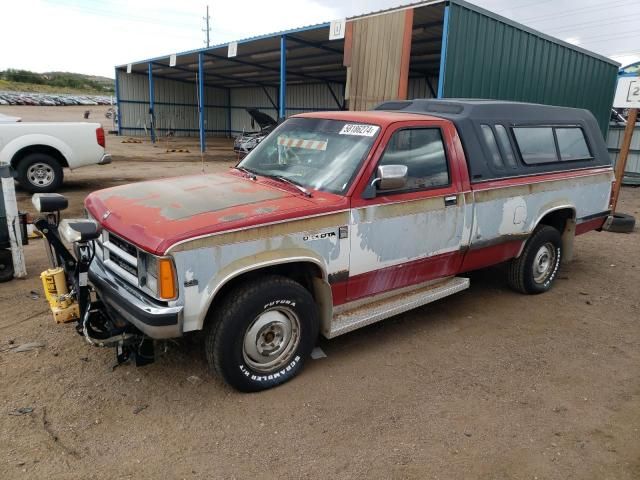 1989 Dodge Dakota