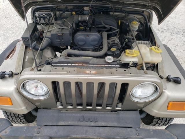 2003 Jeep Wrangler / TJ SE