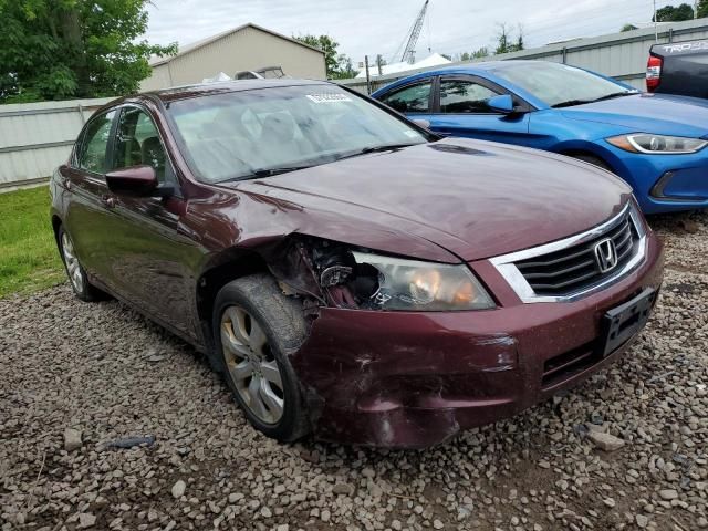 2010 Honda Accord EXL