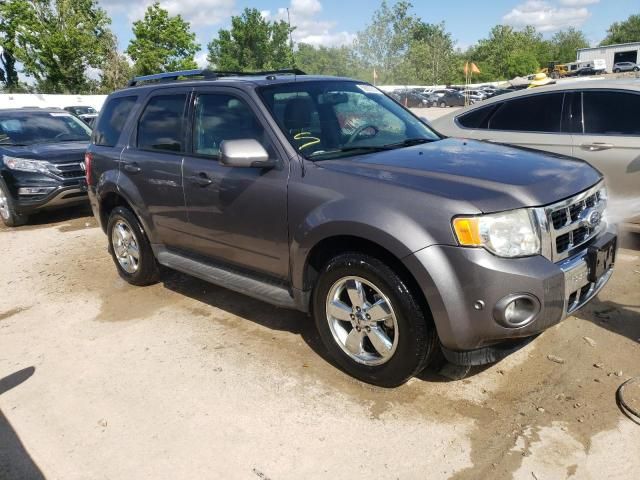 2010 Ford Escape Limited