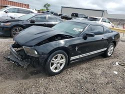 Ford salvage cars for sale: 2010 Ford Mustang