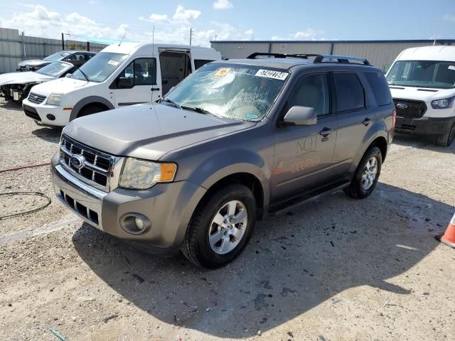 2011 Ford Escape Limited