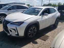 Lexus UX 250H salvage cars for sale: 2020 Lexus UX 250H