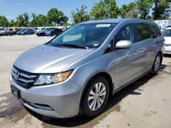 Honda Odyssey salvage cars for sale: 2016 Honda Odyssey SE