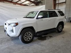 Salvage cars for sale from Copart North Billerica, MA: 2023 Toyota 4runner SE