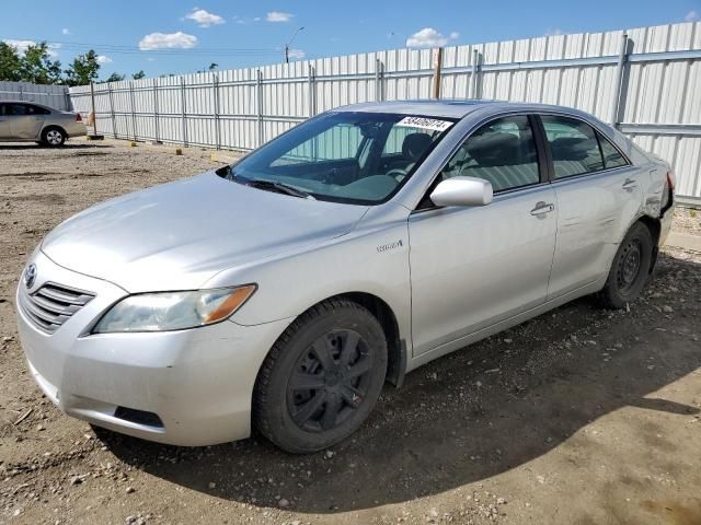 2009 Toyota Camry Hybrid