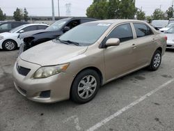 Salvage cars for sale from Copart Rancho Cucamonga, CA: 2010 Toyota Corolla Base