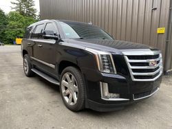 Cadillac Escalade salvage cars for sale: 2018 Cadillac Escalade Luxury