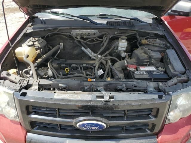 2010 Ford Escape XLT