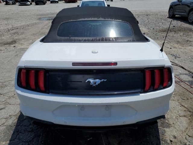 2019 Ford Mustang