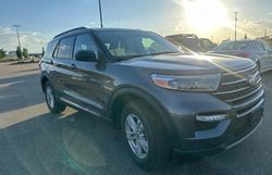 2021 Ford Explorer XLT en venta en Brighton, CO