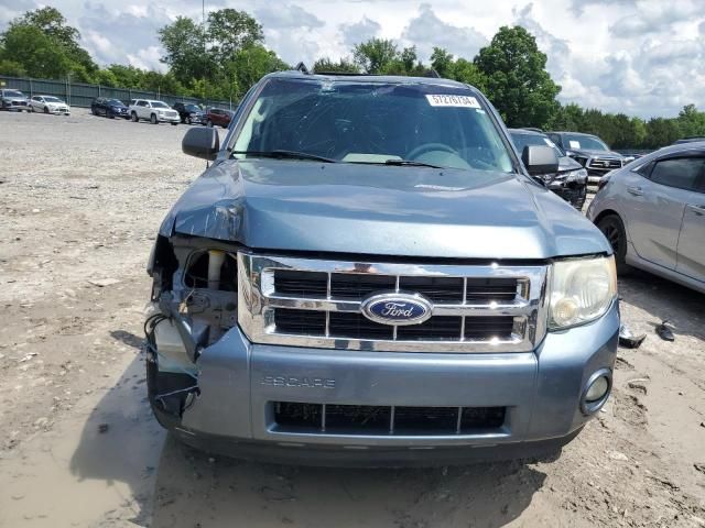 2011 Ford Escape XLT