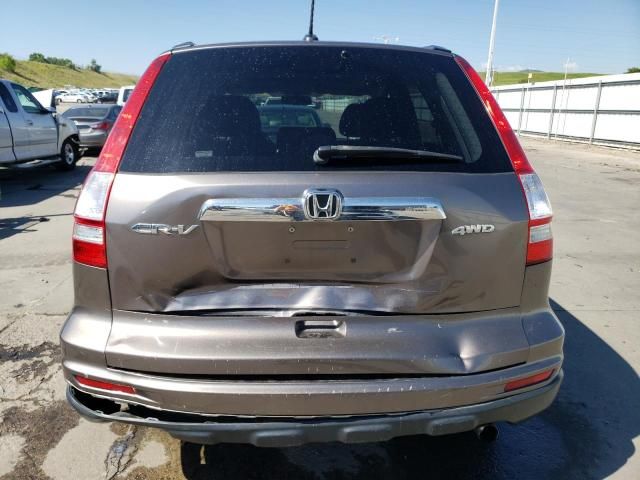 2010 Honda CR-V EXL