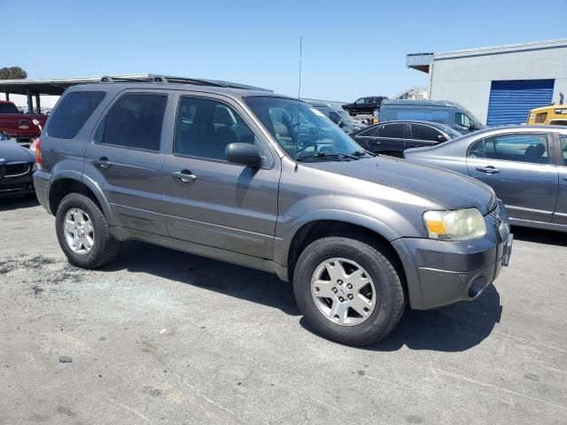 2006 Ford Escape Limited