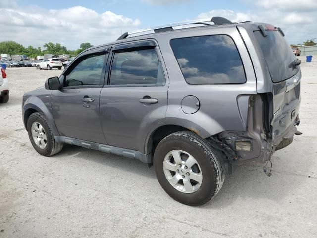 2010 Ford Escape Limited