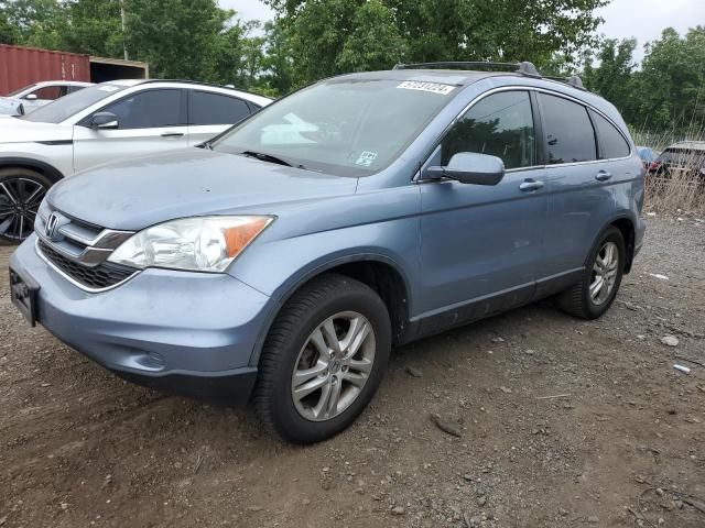 2010 Honda CR-V EXL