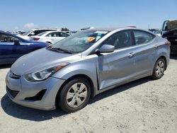 Hyundai Elantra salvage cars for sale: 2016 Hyundai Elantra SE