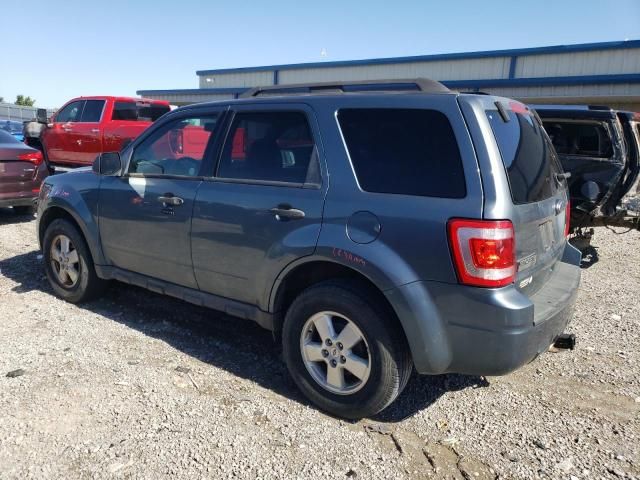 2010 Ford Escape XLT